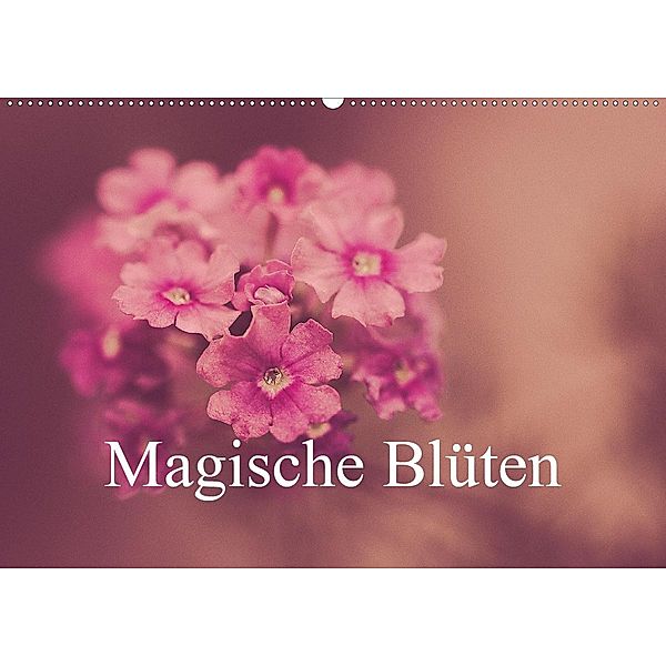 Magische Blüten (Wandkalender 2020 DIN A2 quer), Michael Marx