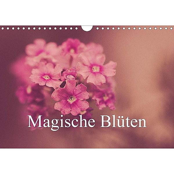 Magische Blüten (Wandkalender 2021 DIN A4 quer), Michael Marx