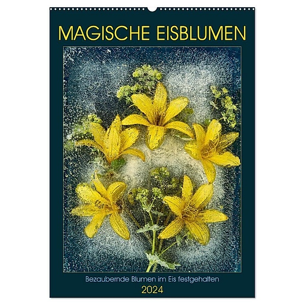 Magische Eisblumen (Wandkalender 2024 DIN A2 hoch), CALVENDO Monatskalender, Harald Richter