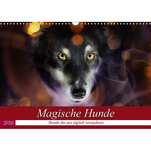 Magische Hunde - Hunde die uns täglich verzaubern (Wandkalender 2020 DIN A3 quer), Andrea Mayer