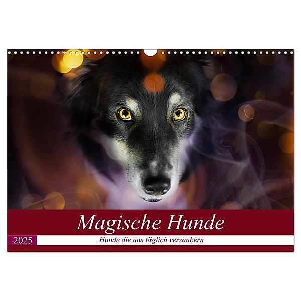 Magische Hunde - Hunde die uns täglich verzaubern (Wandkalender 2025 DIN A3 quer), CALVENDO Monatskalender, Calvendo, Andrea Mayer Tierfotografie