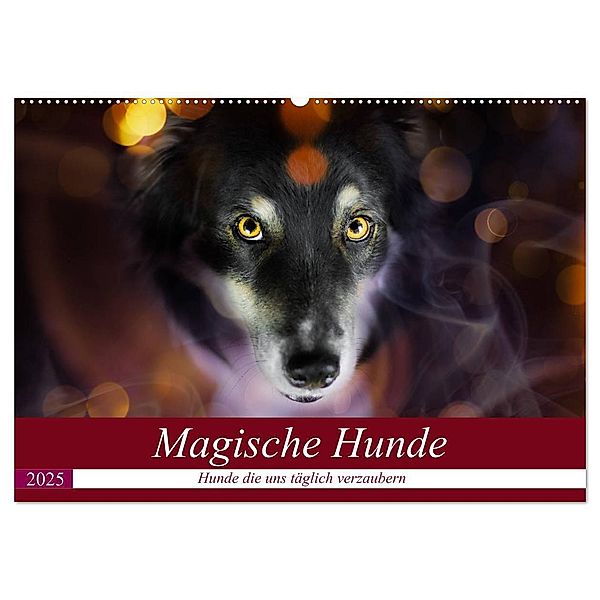 Magische Hunde - Hunde die uns täglich verzaubern (Wandkalender 2025 DIN A2 quer), CALVENDO Monatskalender, Calvendo, Andrea Mayer Tierfotografie