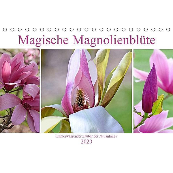 Magische Magnolienblüte (Tischkalender 2020 DIN A5 quer), Christine B-B Müller