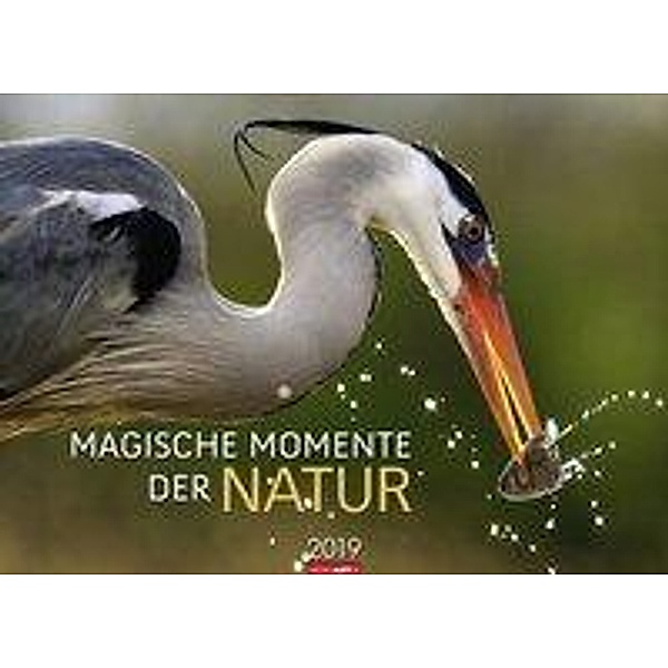 Magische Momente der Natur 2019