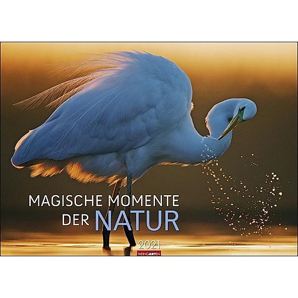 Magische Momente der Natur 2020