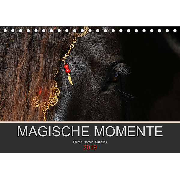 Magische Momente - Pferde Horses Caballos (Tischkalender 2019 DIN A5 quer), Petra Eckerl
