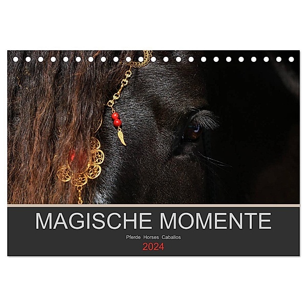Magische Momente - Pferde Horses Caballos (Tischkalender 2024 DIN A5 quer), CALVENDO Monatskalender, Petra Eckerl Tierfotografie www.petraeckerl.com