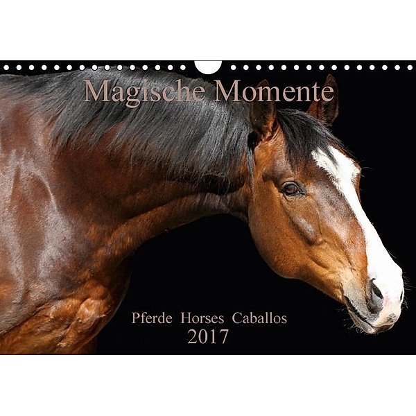 Magische Momente - Pferde Horses Caballos (Wandkalender 2017 DIN A4 quer), Petra Eckerl