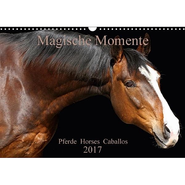 Magische Momente - Pferde Horses Caballos (Wandkalender 2017 DIN A3 quer), Petra Eckerl, Petra Eckerl Tierfotografie www.petraeckerl.com