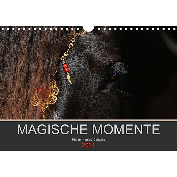 Magische Momente - Pferde Horses Caballos (Wandkalender 2021 DIN A4 quer), Petra Eckerl Tierfotografie www.petraeckerl.com
