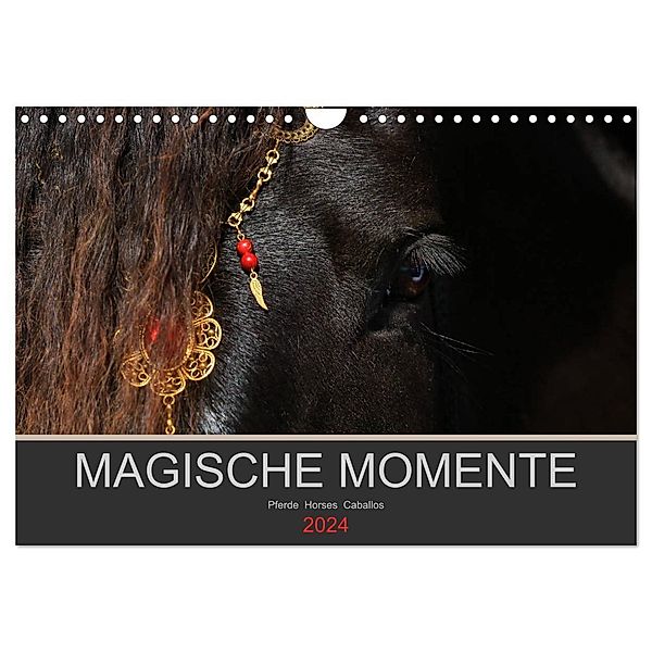 Magische Momente - Pferde Horses Caballos (Wandkalender 2024 DIN A4 quer), CALVENDO Monatskalender, Petra Eckerl Tierfotografie www.petraeckerl.com