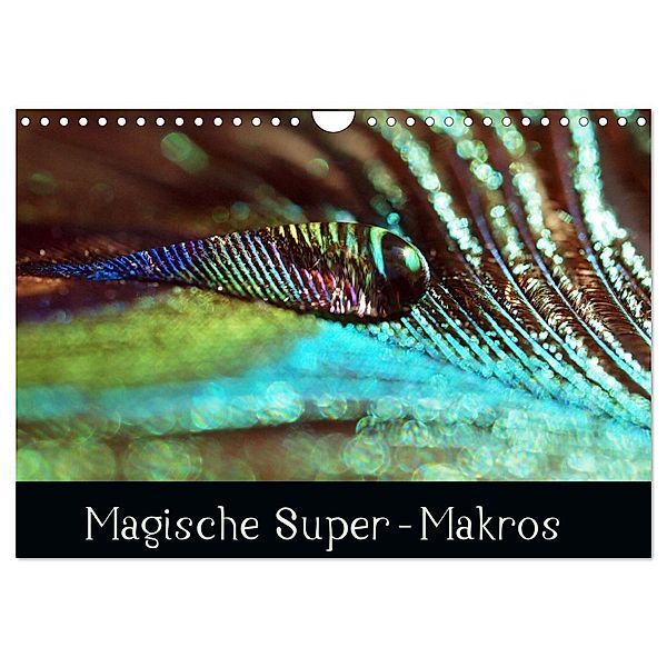 Magische Super-Makros (Wandkalender 2024 DIN A4 quer), CALVENDO Monatskalender, Dagmar Laimgruber
