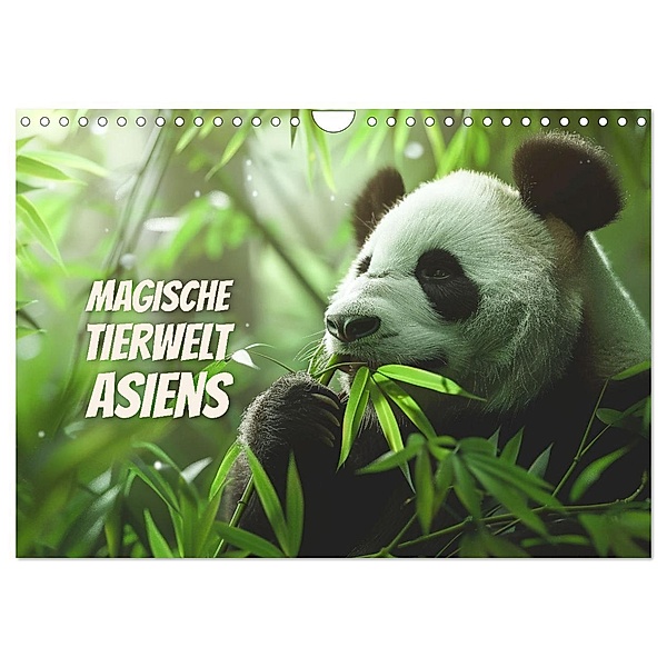 Magische Tierwelt Asiens (Wandkalender 2025 DIN A4 quer), CALVENDO Monatskalender, Calvendo, Peter R. Stuhlmann