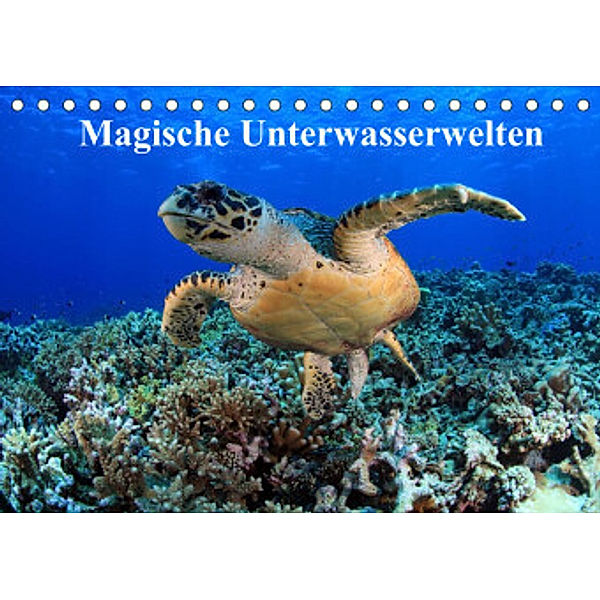 Magische Unterwasserwelten (Tischkalender 2022 DIN A5 quer), Martin Hablützel