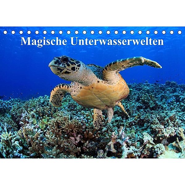 Magische Unterwasserwelten (Tischkalender 2023 DIN A5 quer), Martin Hablützel