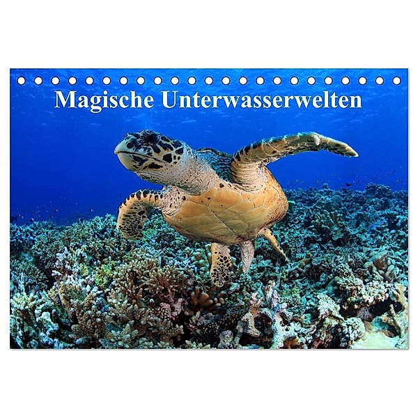 Magische Unterwasserwelten (Tischkalender 2024 DIN A5 quer), CALVENDO Monatskalender, Martin Hablützel