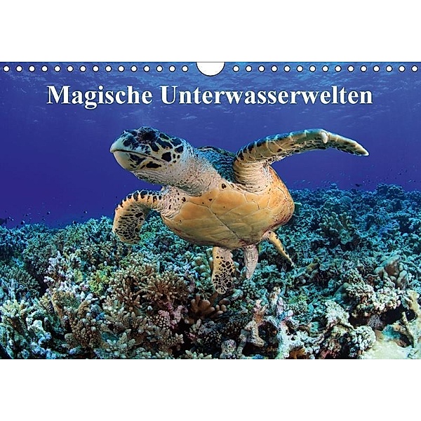 Magische Unterwasserwelten (Wandkalender 2017 DIN A4 quer), Martin Hablützel