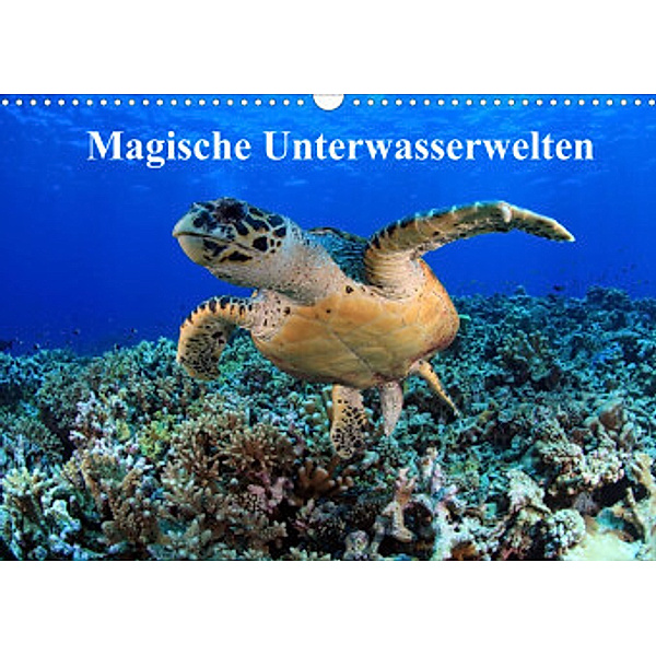 Magische Unterwasserwelten (Wandkalender 2022 DIN A3 quer), Martin Hablützel