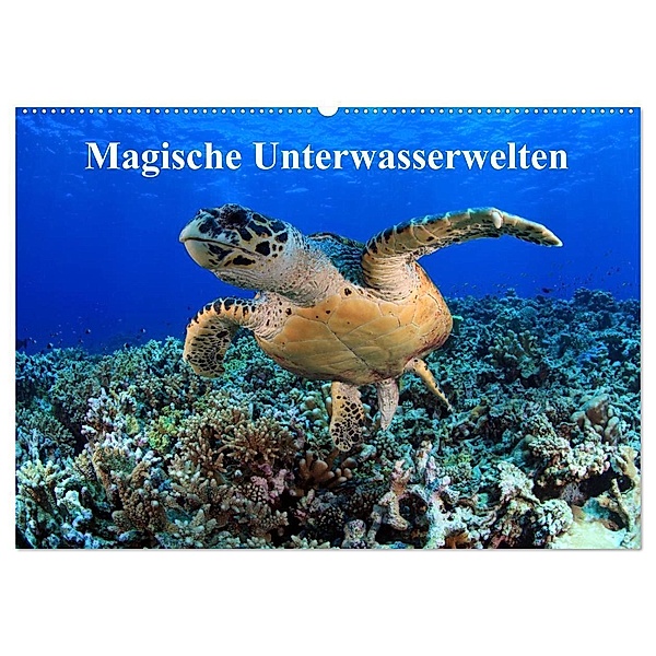 Magische Unterwasserwelten (Wandkalender 2024 DIN A2 quer), CALVENDO Monatskalender, Martin Hablützel