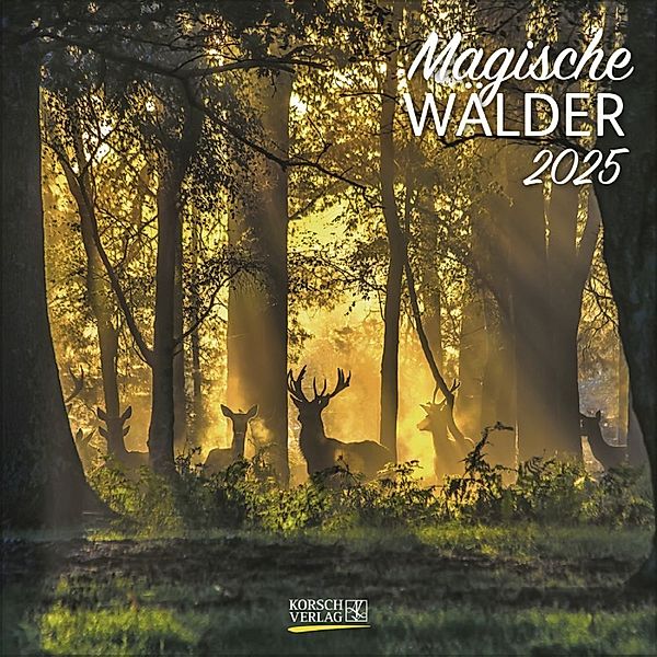 Magische Wälder 2025