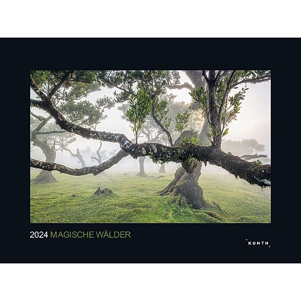 Magische Wälder - KUNTH Wandkalender 2024