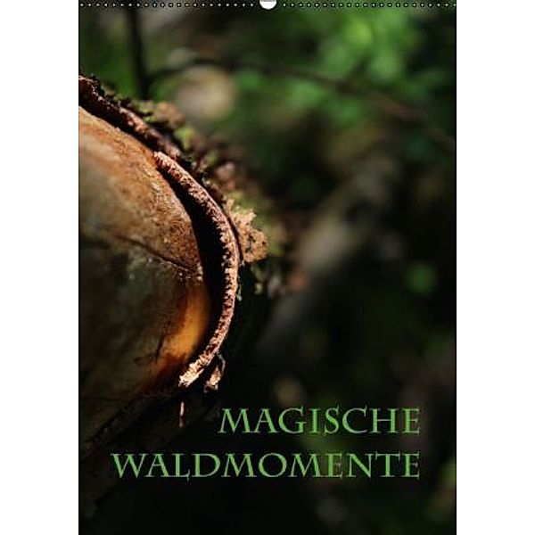Magische Waldmomente (Wandkalender 2016 DIN A2 hoch), Maria Reichenauer