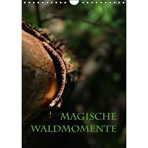 Magische Waldmomente (Wandkalender 2016 DIN A4 hoch), Maria Reichenauer