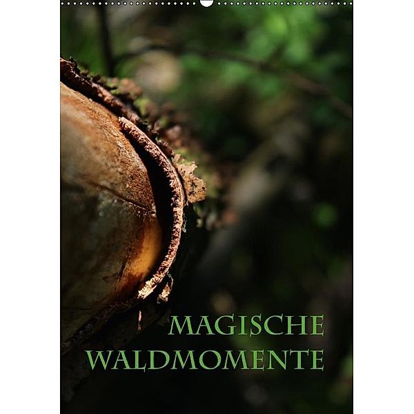 Magische Waldmomente (Wandkalender 2017 DIN A2 hoch), Maria Reichenauer