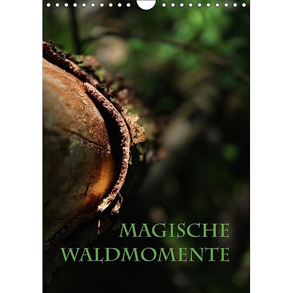 Magische Waldmomente (Wandkalender 2017 DIN A4 hoch), Maria Reichenauer