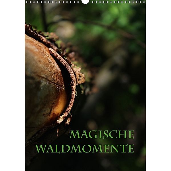 Magische Waldmomente (Wandkalender 2018 DIN A3 hoch), Maria Reichenauer