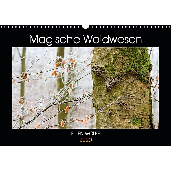 Magische Waldwesen (Wandkalender 2020 DIN A3 quer), Ellen Wolff