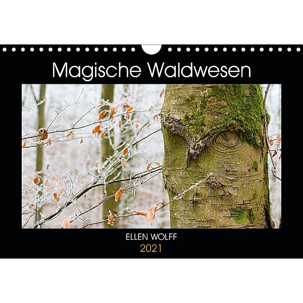 Magische Waldwesen (Wandkalender 2021 DIN A4 quer), Ellen Wolff