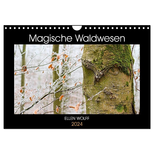 Magische Waldwesen (Wandkalender 2024 DIN A4 quer), CALVENDO Monatskalender, Ellen Wolff