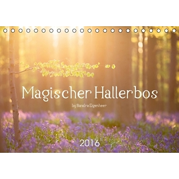 Magischer Hallerbos (Tischkalender 2016 DIN A5 quer), Sandra Eigenheer