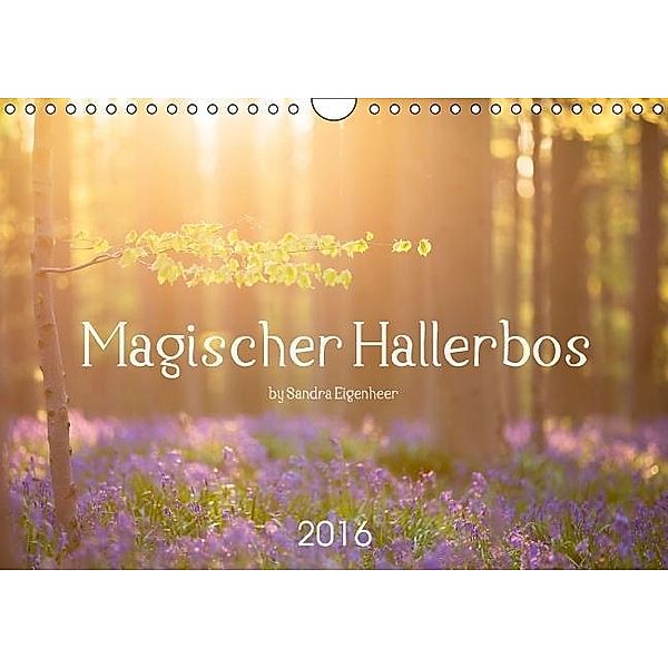 Magischer Hallerbos (Wandkalender 2016 DIN A4 quer), Sandra Eigenheer