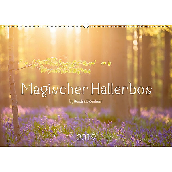 Magischer Hallerbos (Wandkalender 2019 DIN A2 quer), Sandra Eigenheer