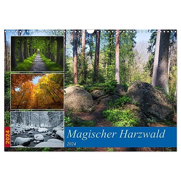 Magischer Harzwald (Wandkalender 2024 DIN A3 quer), CALVENDO Monatskalender, Steffen Gierok-Latniak