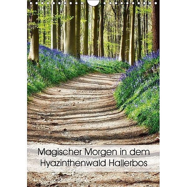 Magischer Morgen in dem Hyazinthenwald Hallerbos (Wandkalender 2017 DIN A4 hoch), Bombaert Patrick