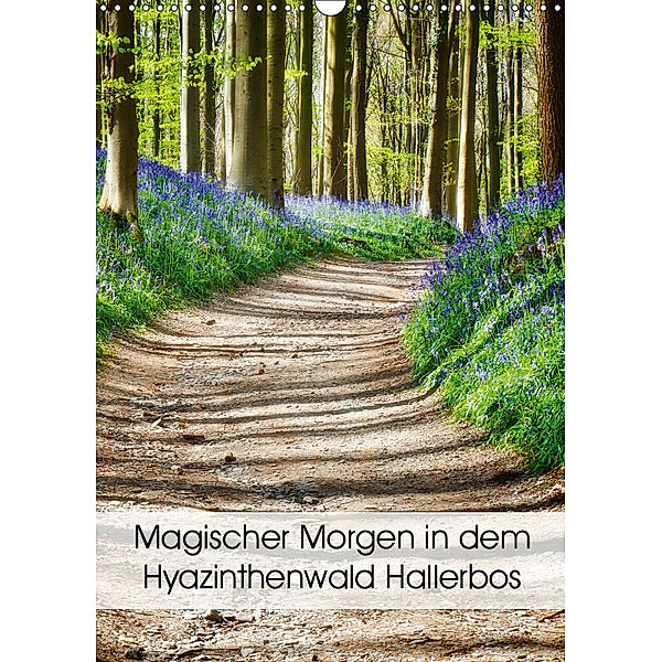 Magischer Morgen in dem Hyazinthenwald Hallerbos (Wandkalender 2019 DIN A3 hoch), Bombaert Patrick