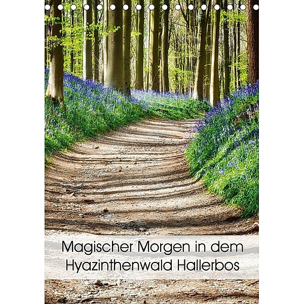 Magischer Morgen in dem Hyazinthenwald Hallerbos (Tischkalender 2020 DIN A5 hoch), Bombaert Patrick
