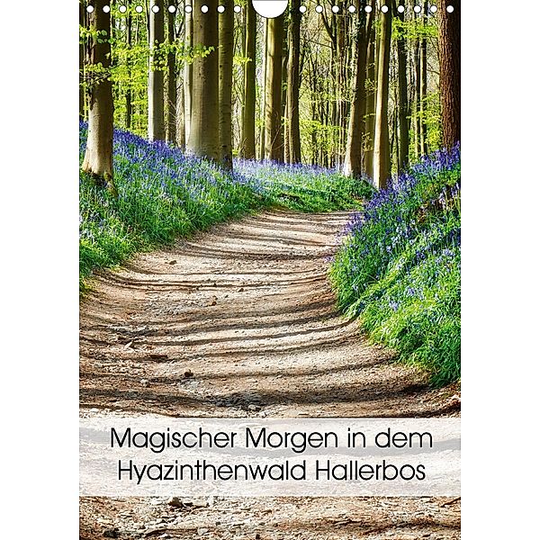 Magischer Morgen in dem Hyazinthenwald Hallerbos (Wandkalender 2021 DIN A4 hoch), Bombaert Patrick