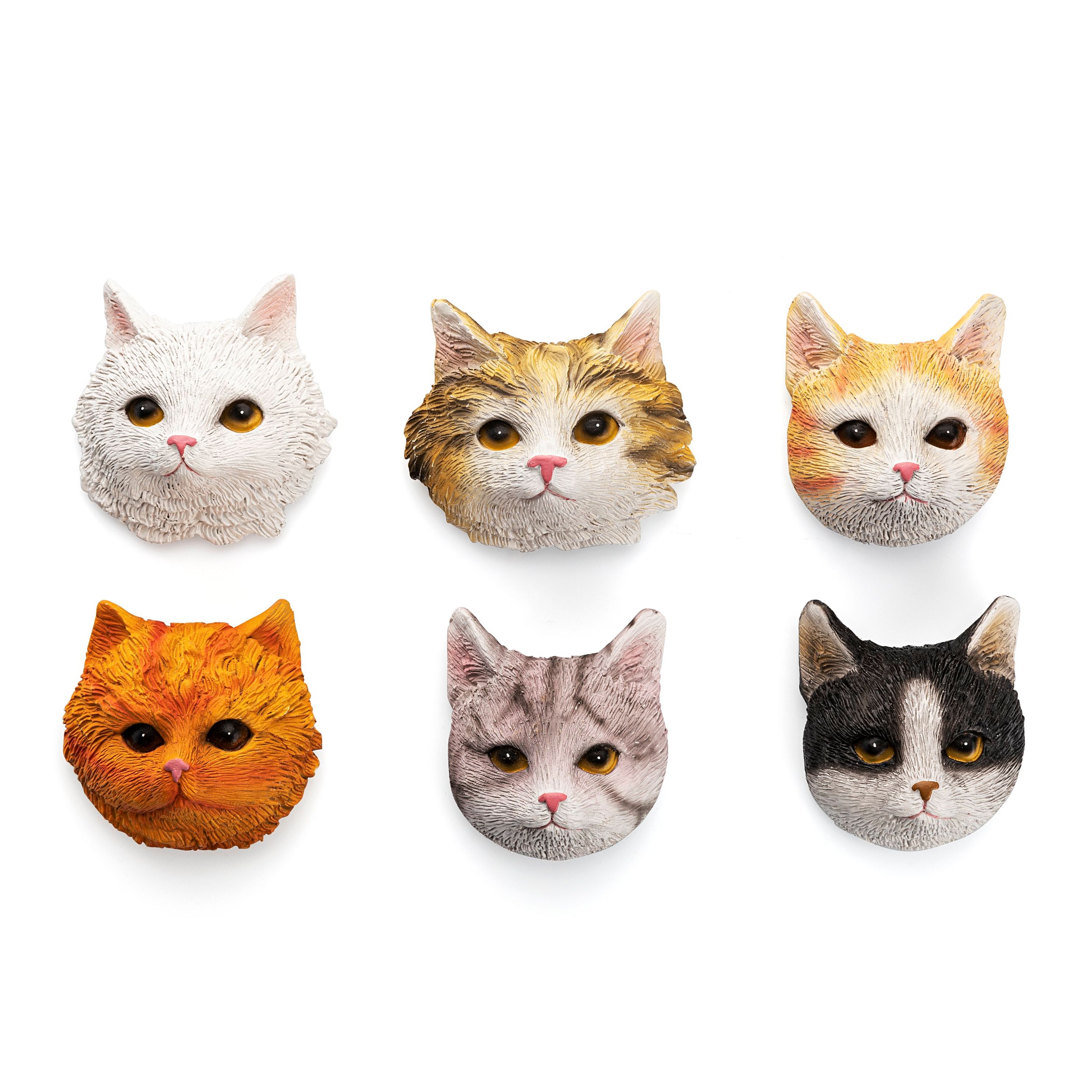 Magnete Katzen 6er Set jetzt bei Weltbild.de bestellen
