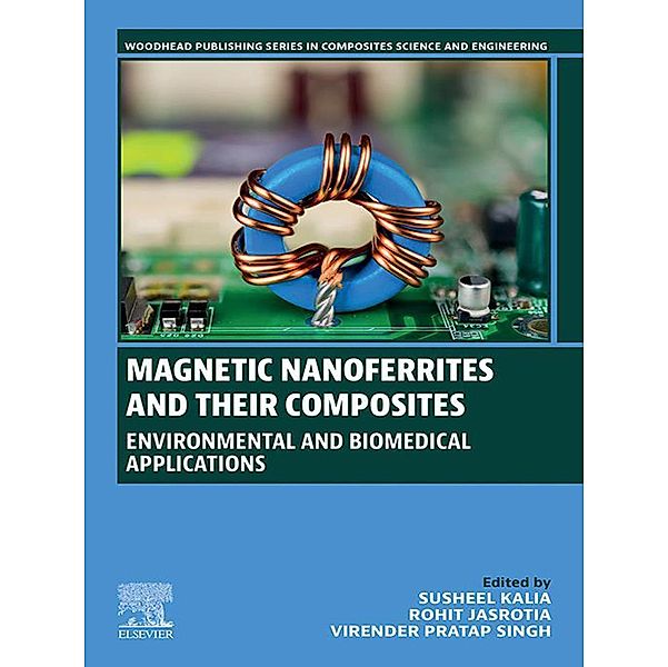 Magnetic Nanoferrites and their Composites