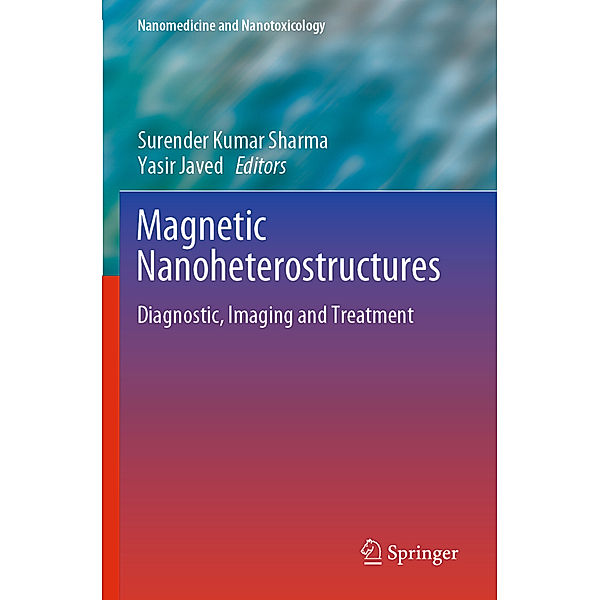 Magnetic Nanoheterostructures