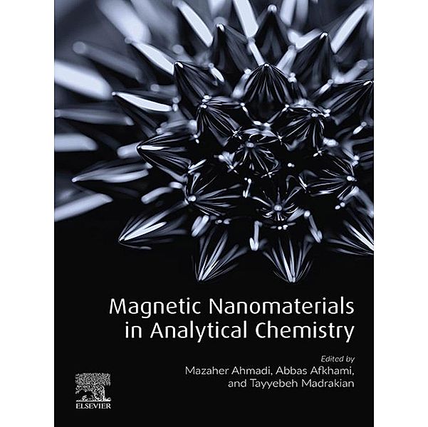 Magnetic Nanomaterials in Analytical Chemistry