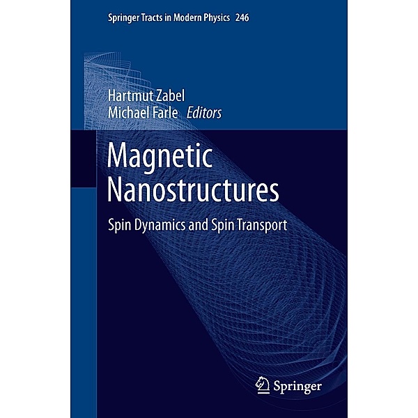 Magnetic Nanostructures / Springer Tracts in Modern Physics Bd.246