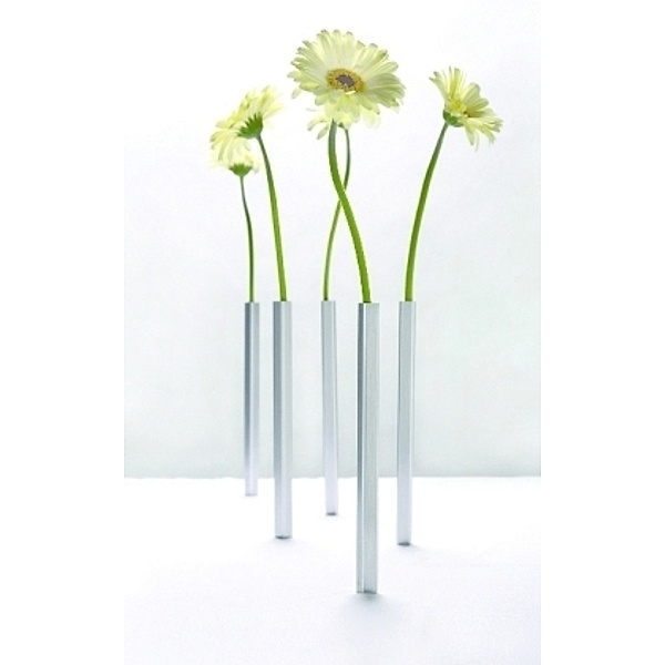 Magnetische Vasen 5er Pack - Magnetic Vase - silver