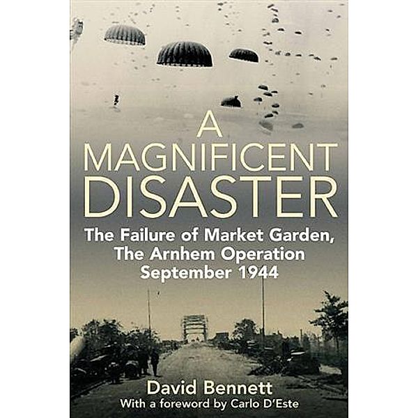 Magnificent Disaster, David Bennett