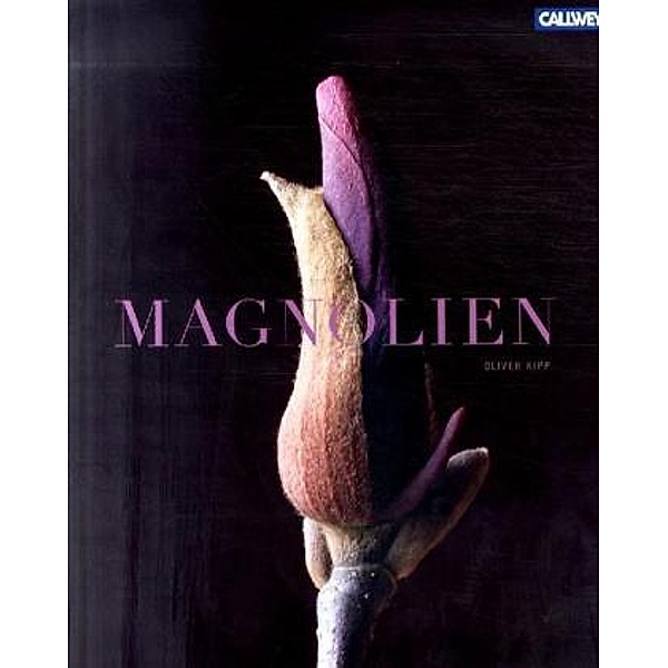 Magnolien, Oliver Kipp