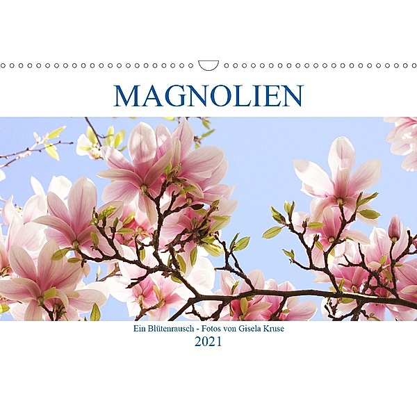 Magnolien Ein Blütenrausch (Wandkalender 2021 DIN A3 quer), Gisela Kruse